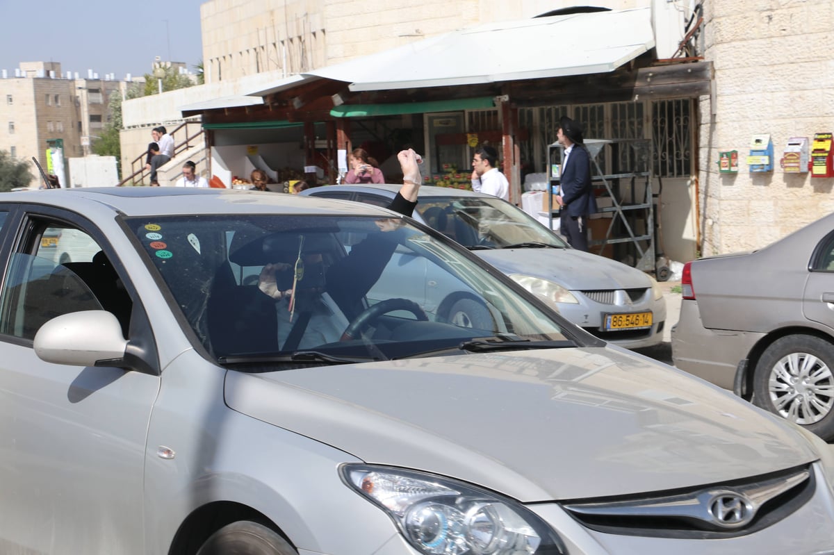 המשאית של ליאון שימחה בהר נוף • תיעוד