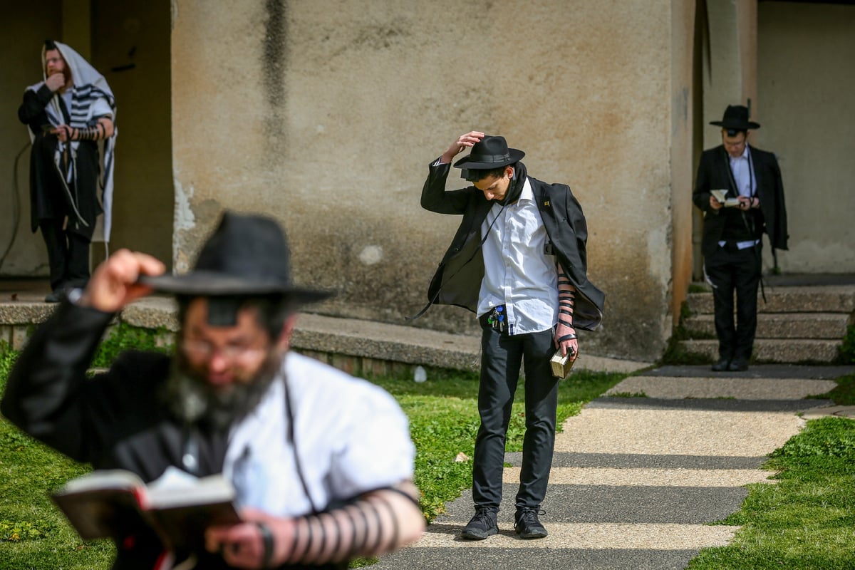 כך התפללו שחרית בציונו של רשב"י במירון ובצפת • תיעוד