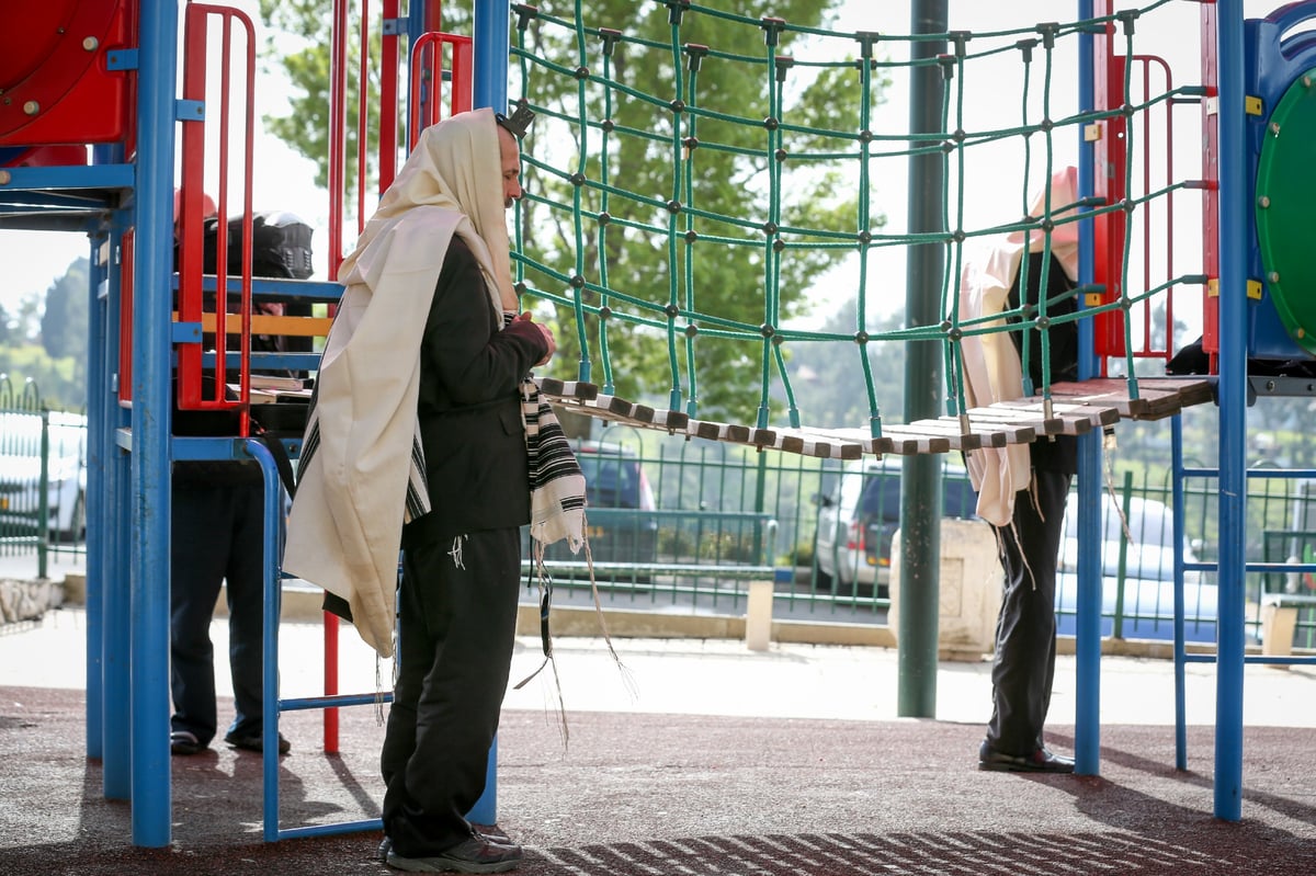 כך התפללו שחרית בציונו של רשב"י במירון ובצפת • תיעוד