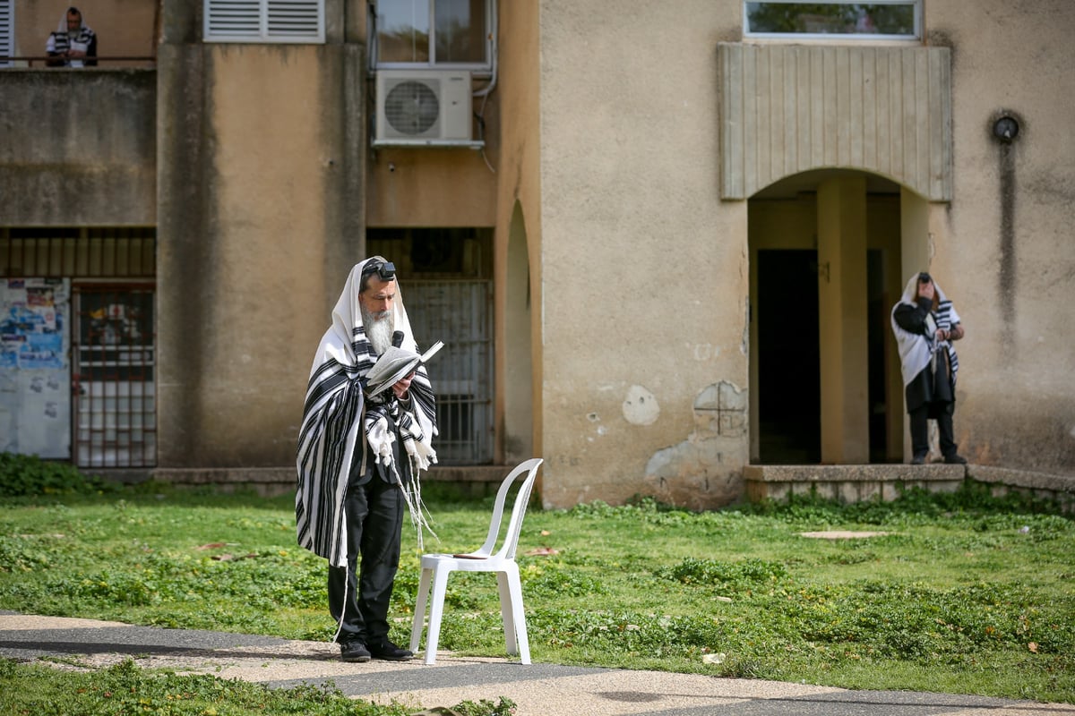 כך התפללו שחרית בציונו של רשב"י במירון ובצפת • תיעוד