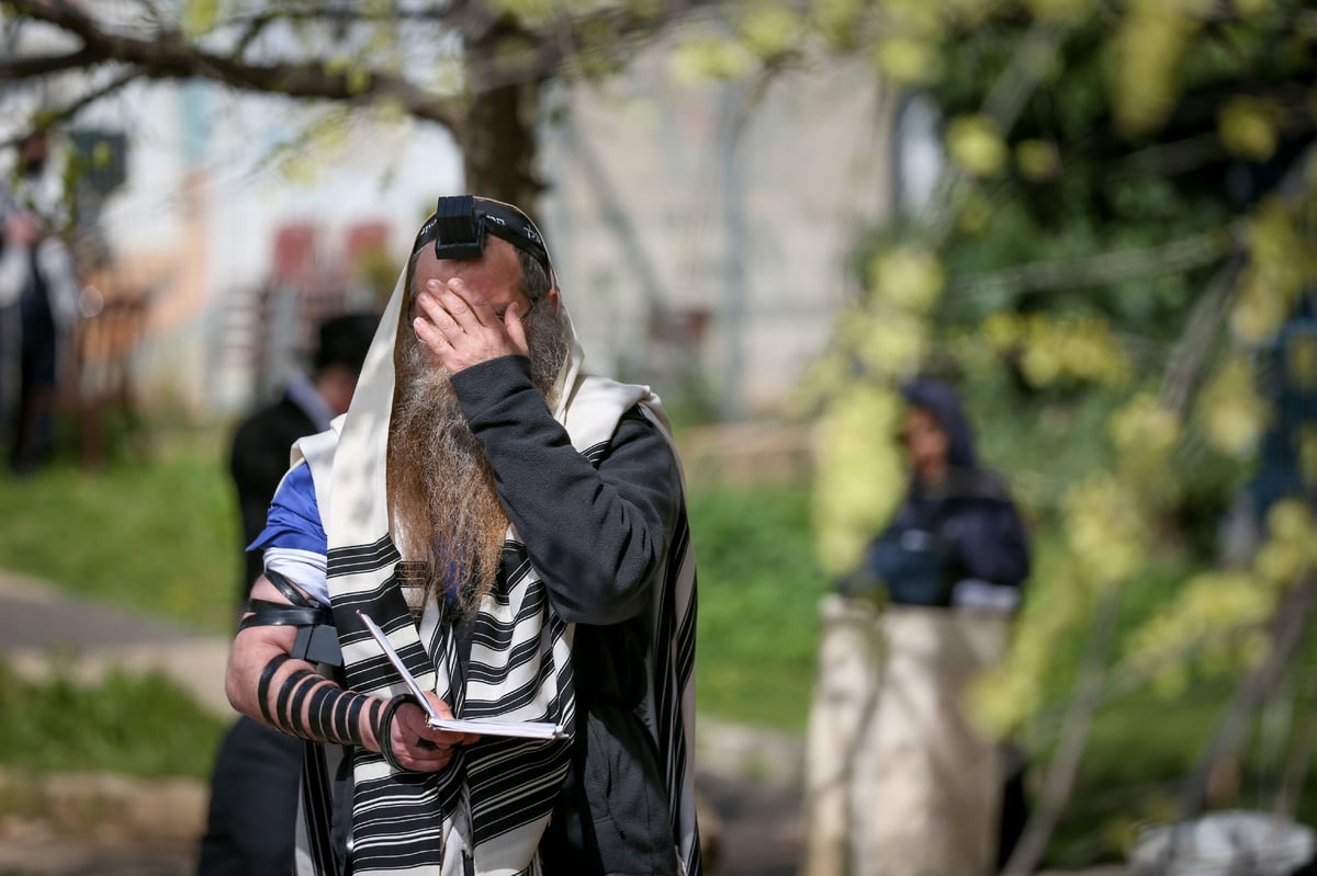 כך התפללו שחרית בציונו של רשב"י במירון ובצפת • תיעוד