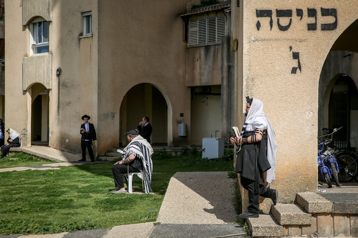 כך התפללו שחרית בציונו של רשב"י במירון ובצפת • תיעוד