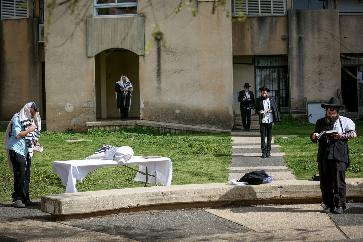 כך התפללו שחרית בציונו של רשב"י במירון ובצפת • תיעוד