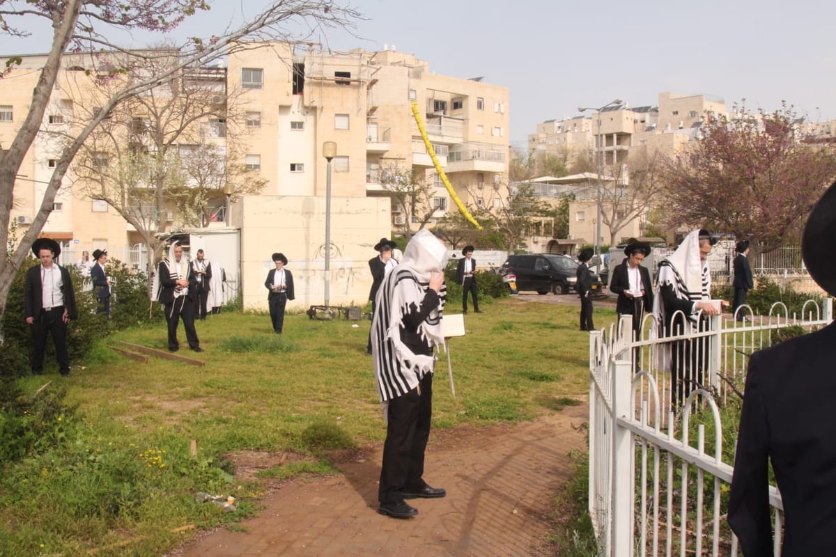 במרפסות וקרוסלות: כך נראה 'שחרית' בסגר