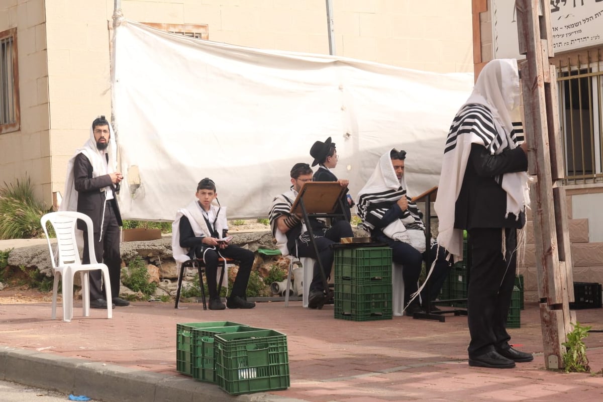 במרפסות וקרוסלות: כך נראה 'שחרית' בסגר