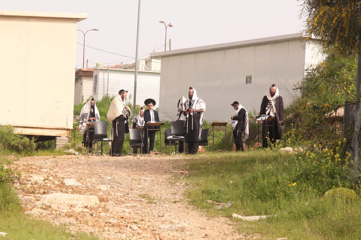 במרפסות וקרוסלות: כך נראה 'שחרית' בסגר