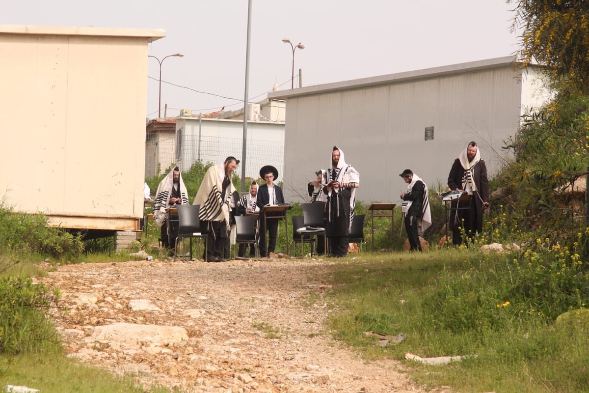 במרפסות וקרוסלות: כך נראה 'שחרית' בסגר