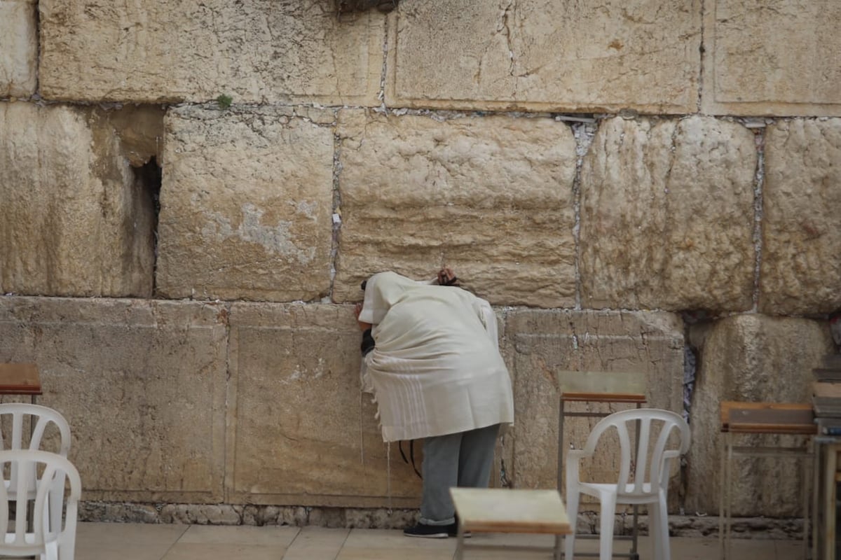 הכותל המערבי שומם מאדם: גלריה עצובה