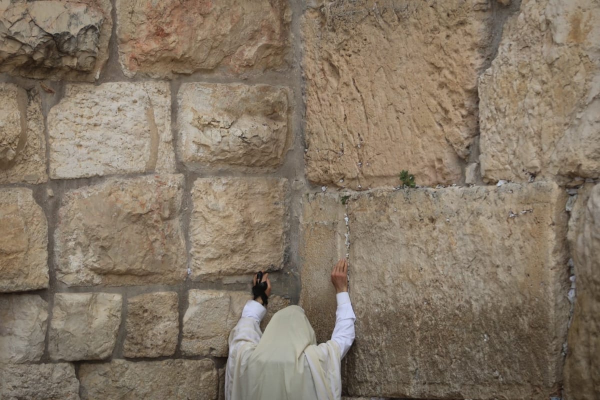 הכותל המערבי שומם מאדם: גלריה עצובה