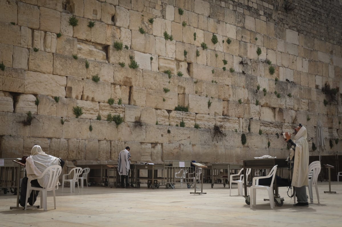 הכותל המערבי שומם מאדם: גלריה עצובה