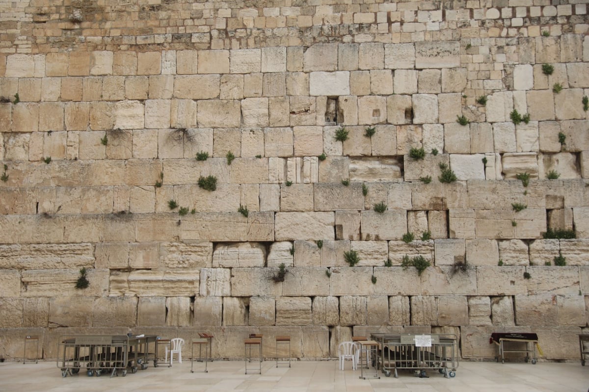 אבני הכותל המערבי עברו ניקוי וחיטוי • צפו