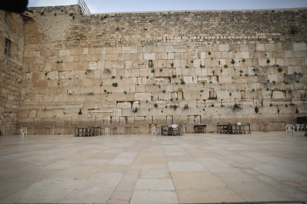 אבני הכותל המערבי עברו ניקוי וחיטוי • צפו