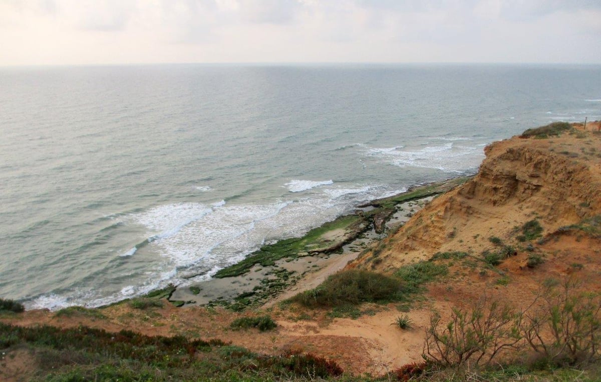 גלריה מרהיבה וצבעונית מחוף השרון • צפו