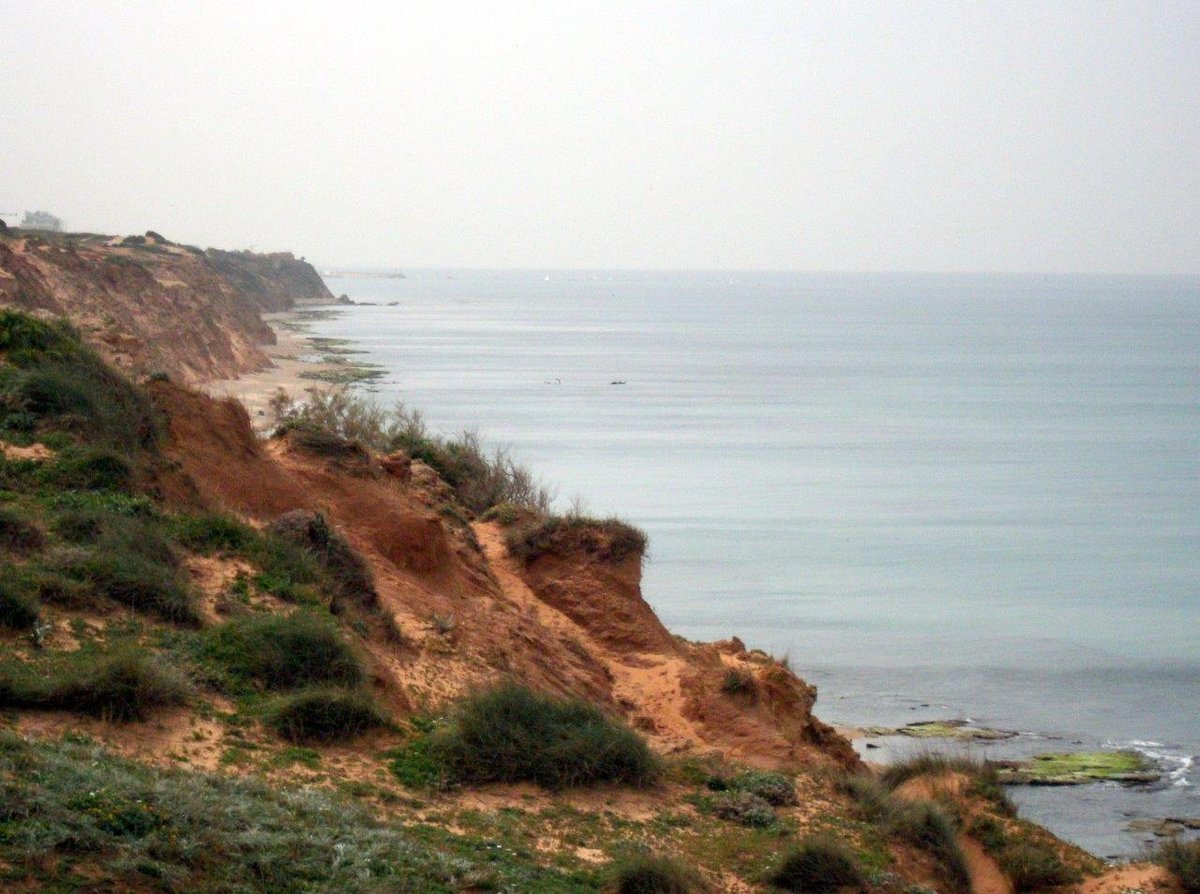 גלריה מרהיבה וצבעונית מחוף השרון • צפו