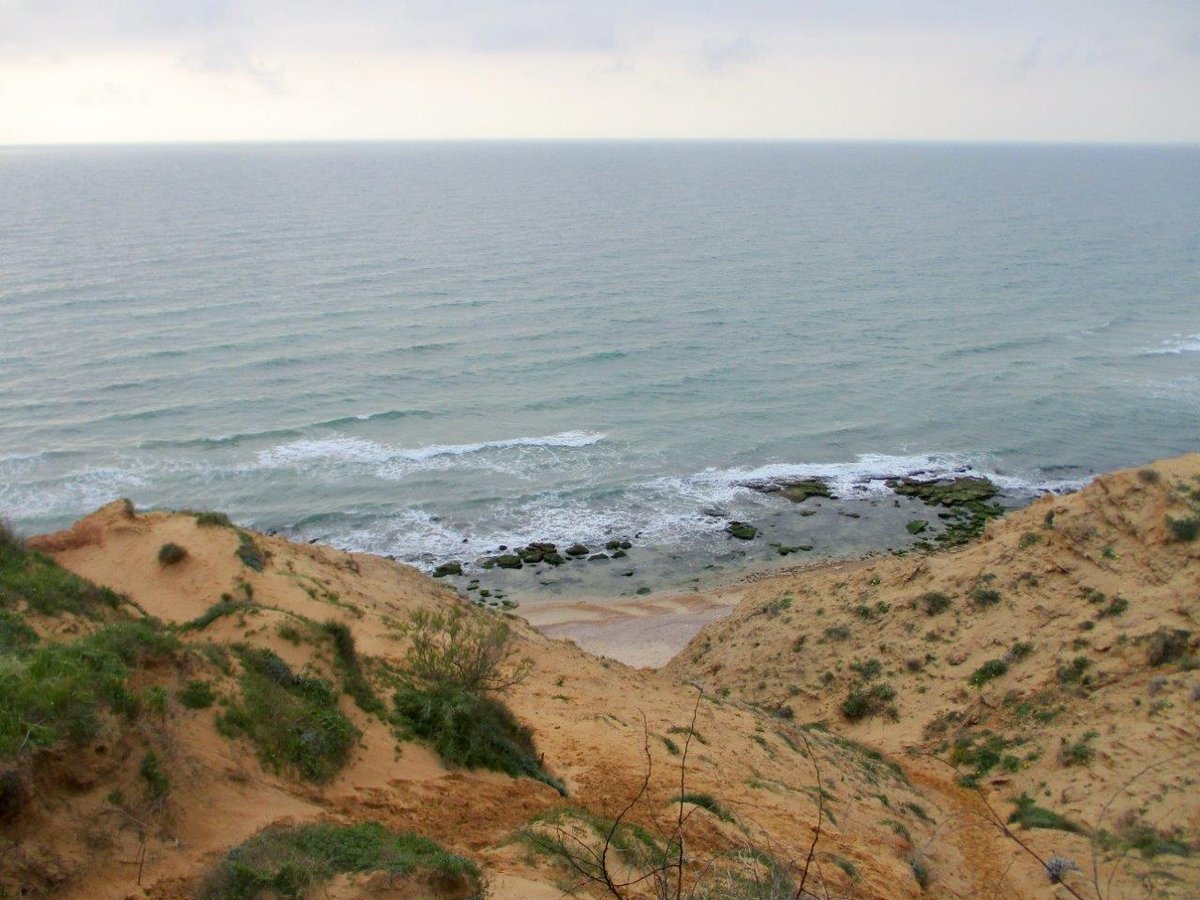 גלריה מרהיבה וצבעונית מחוף השרון • צפו