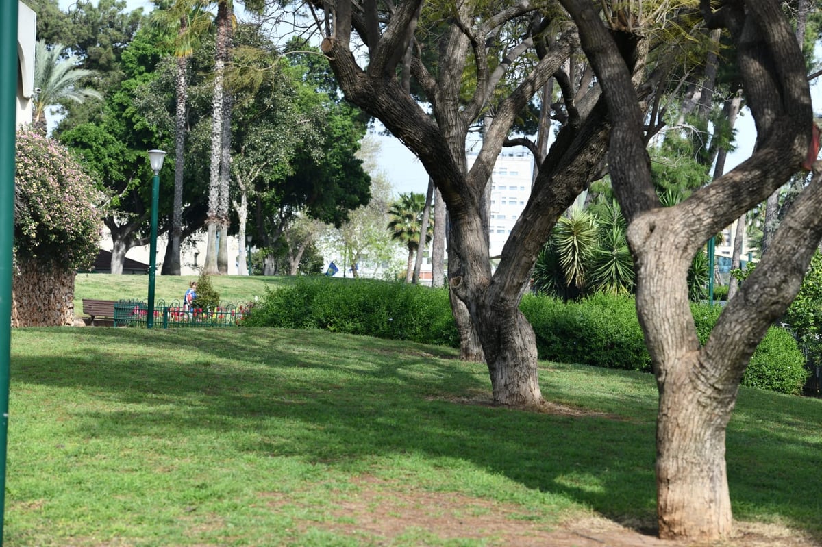 גלריה מרמת גן - בצל נגיף הקורונה • צפו