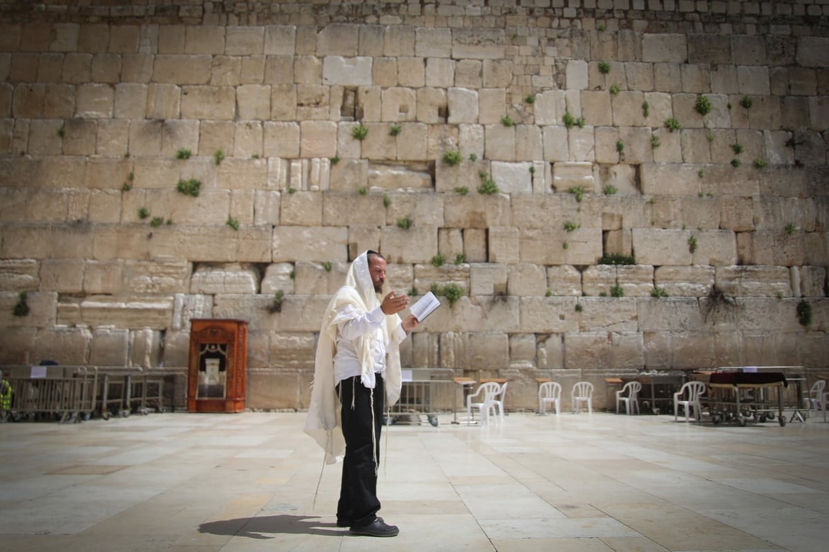 המגיפה, בעין העדשה; תמונות ה'קורונה' של חיים גולדברג