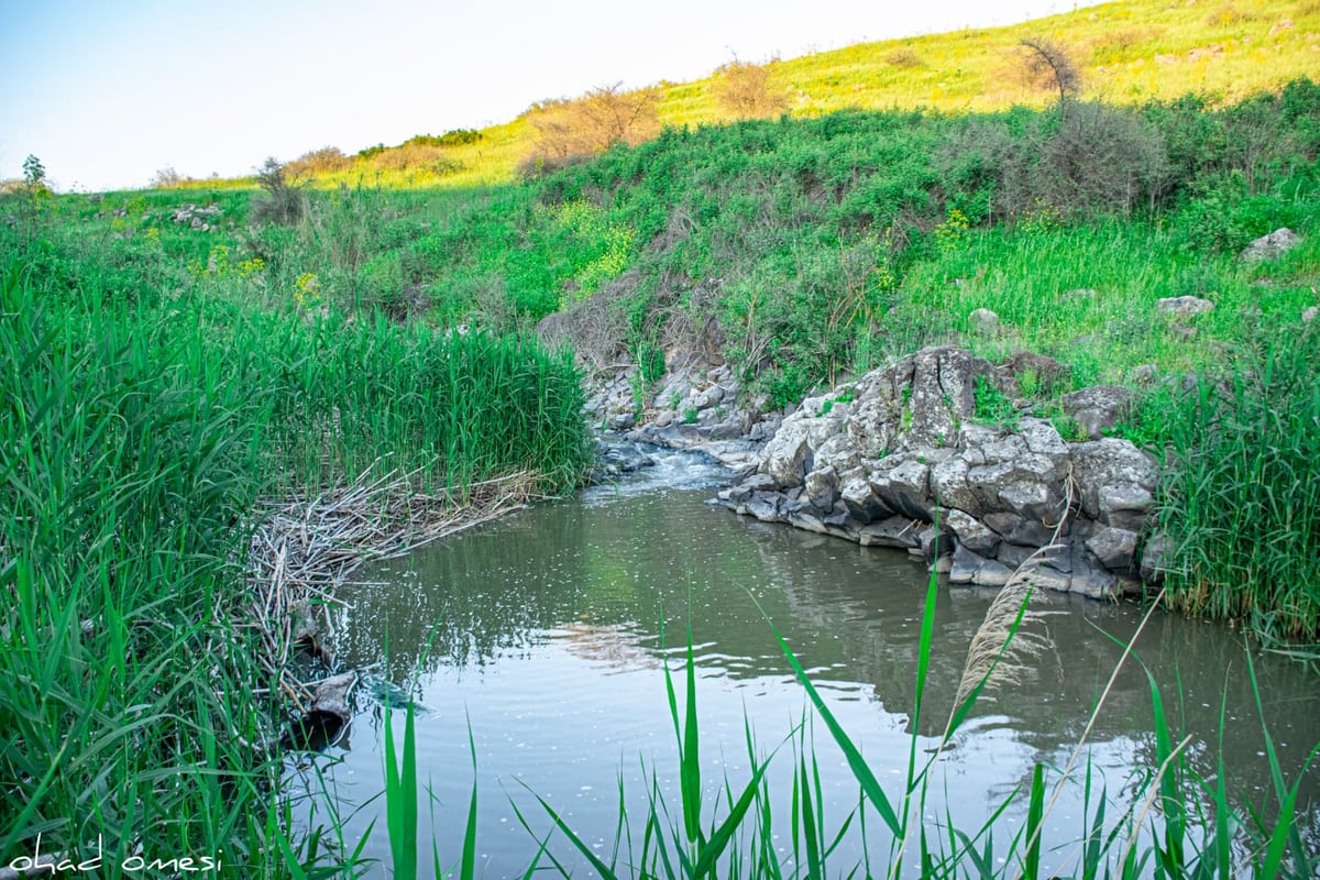 מתגעגעים לטיול חג? תיעוד מרהיב מהצפון