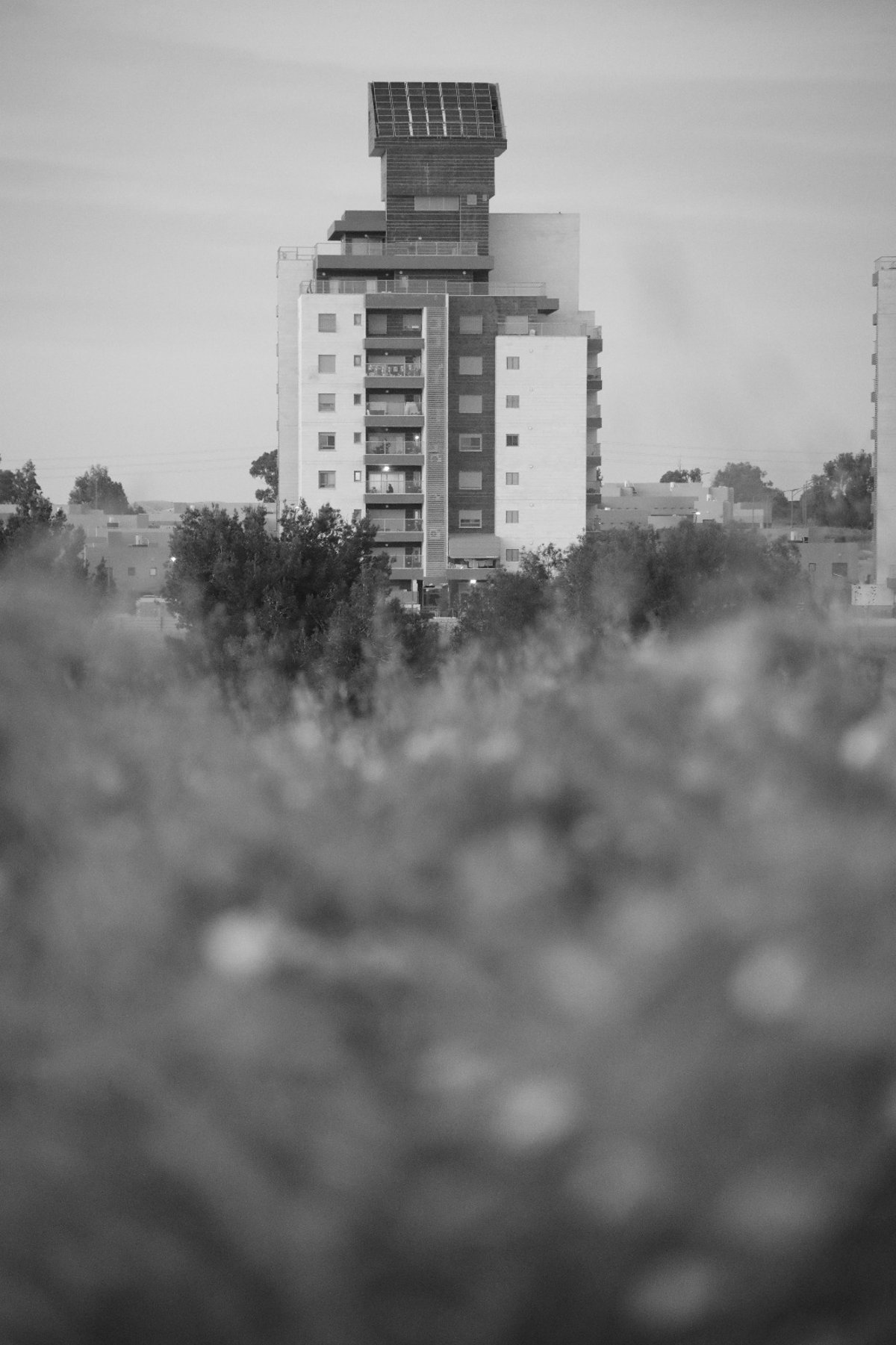 שקיעה דרומית מרהיבה במיוחד • גלריה