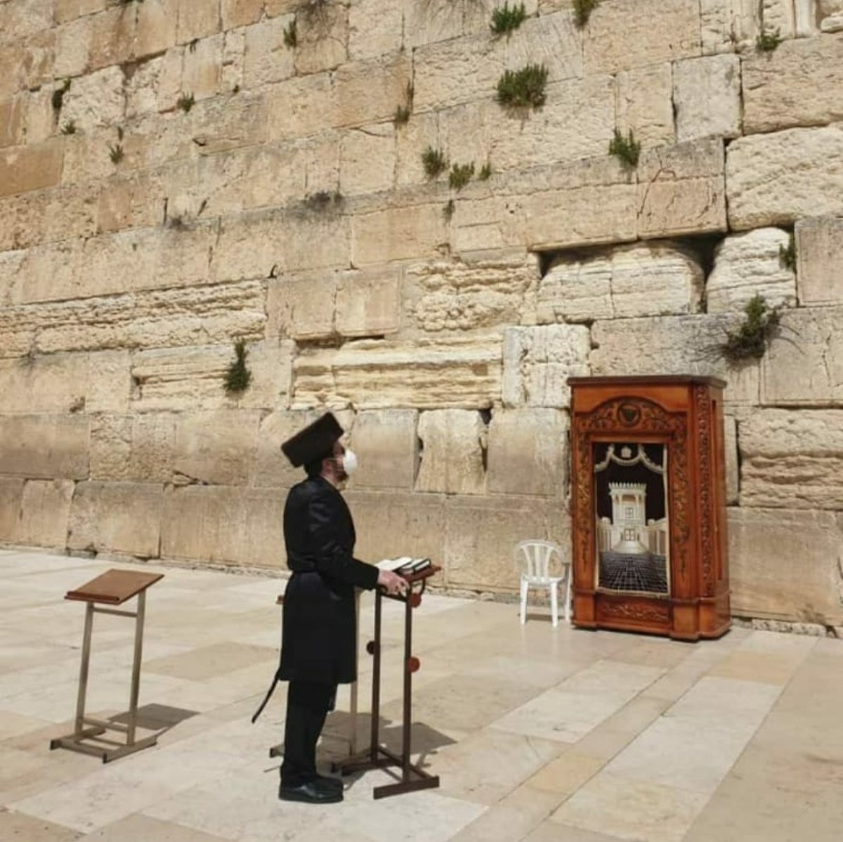 זופניק בכיכר • כל התמונות והנייעס של פסח