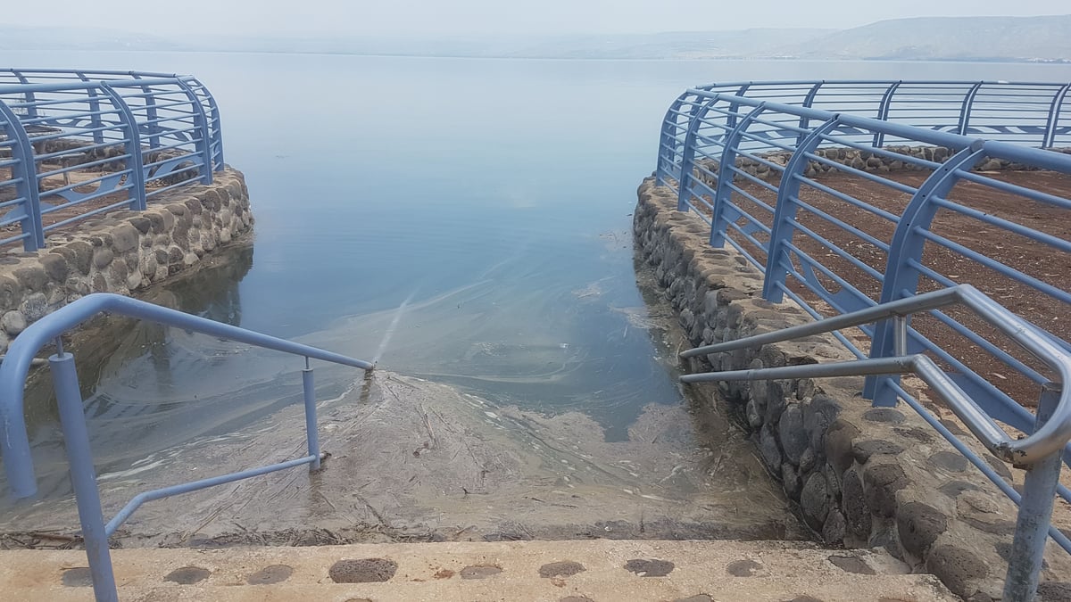 גלריה מרהיבה וצבעונית מהצפון האביבי