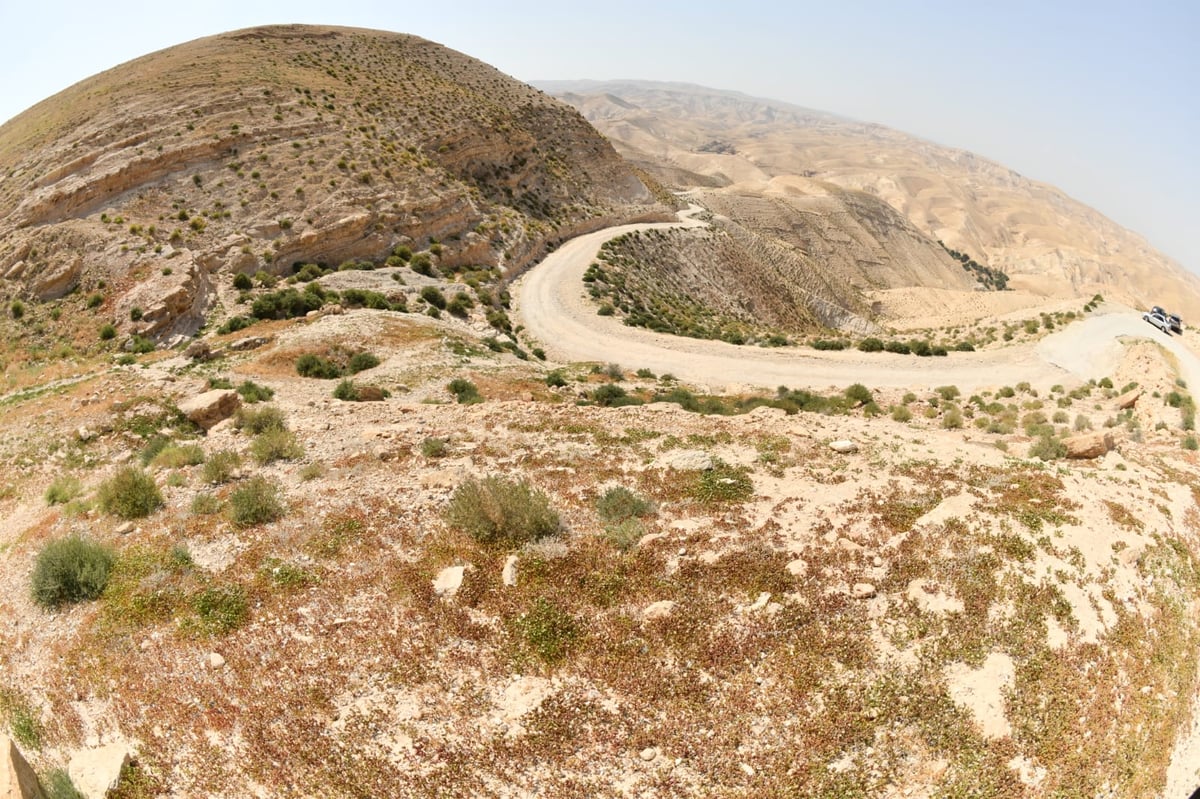 בבידוד ורוצים לטייל? צפו בתיעוד מ'עין קלט'