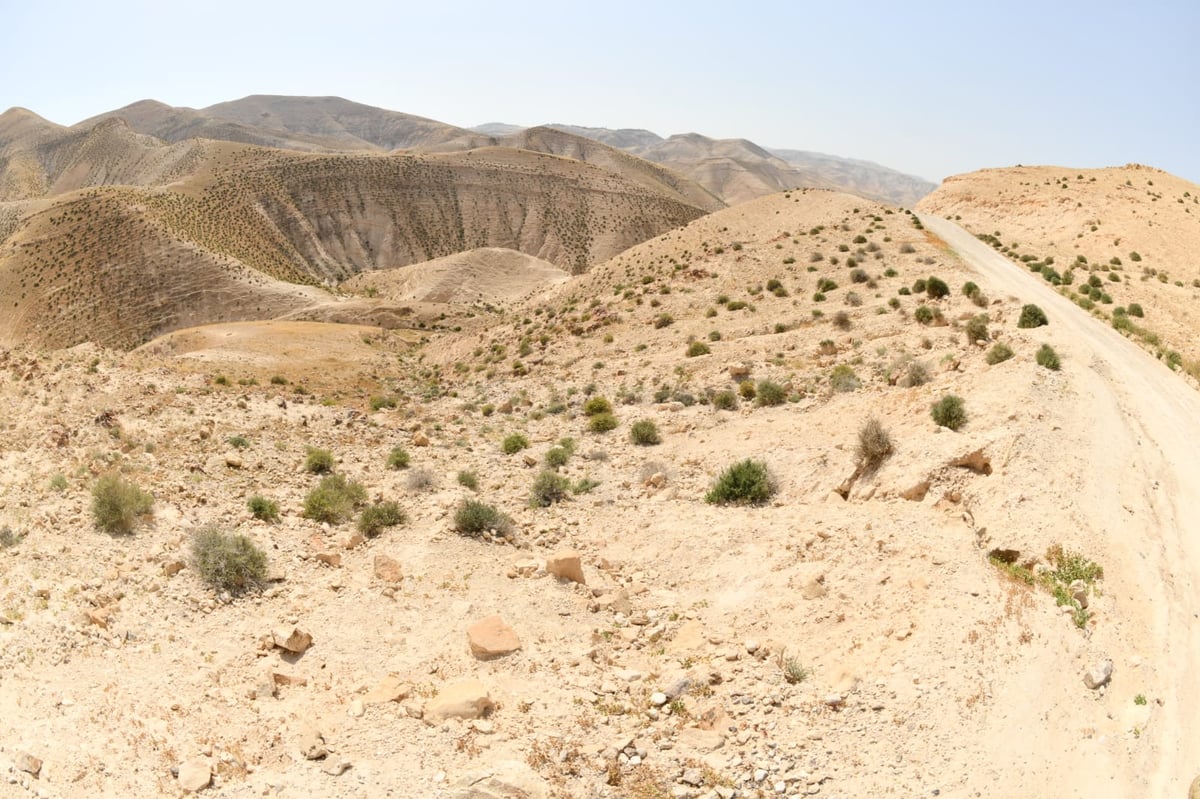 בבידוד ורוצים לטייל? צפו בתיעוד מ'עין קלט'