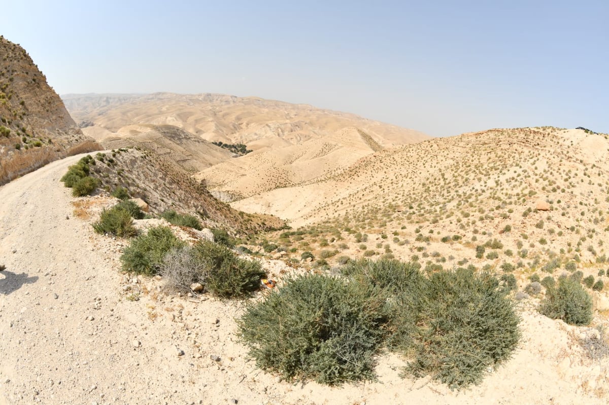 בבידוד ורוצים לטייל? צפו בתיעוד מ'עין קלט'