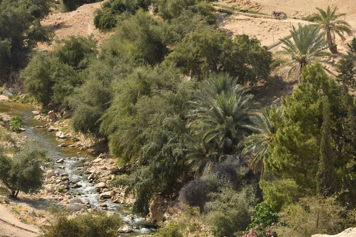 בבידוד ורוצים לטייל? צפו בתיעוד מ'עין קלט'