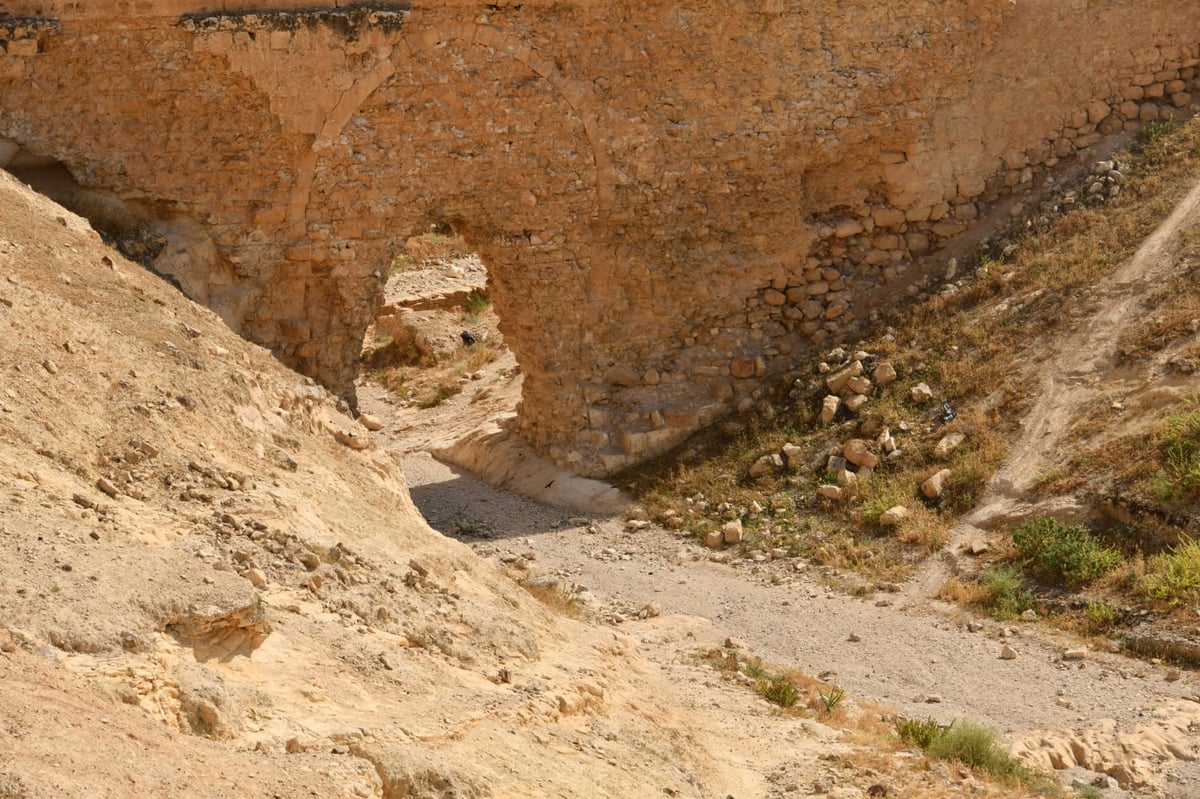 בבידוד ורוצים לטייל? צפו בתיעוד מ'עין קלט'