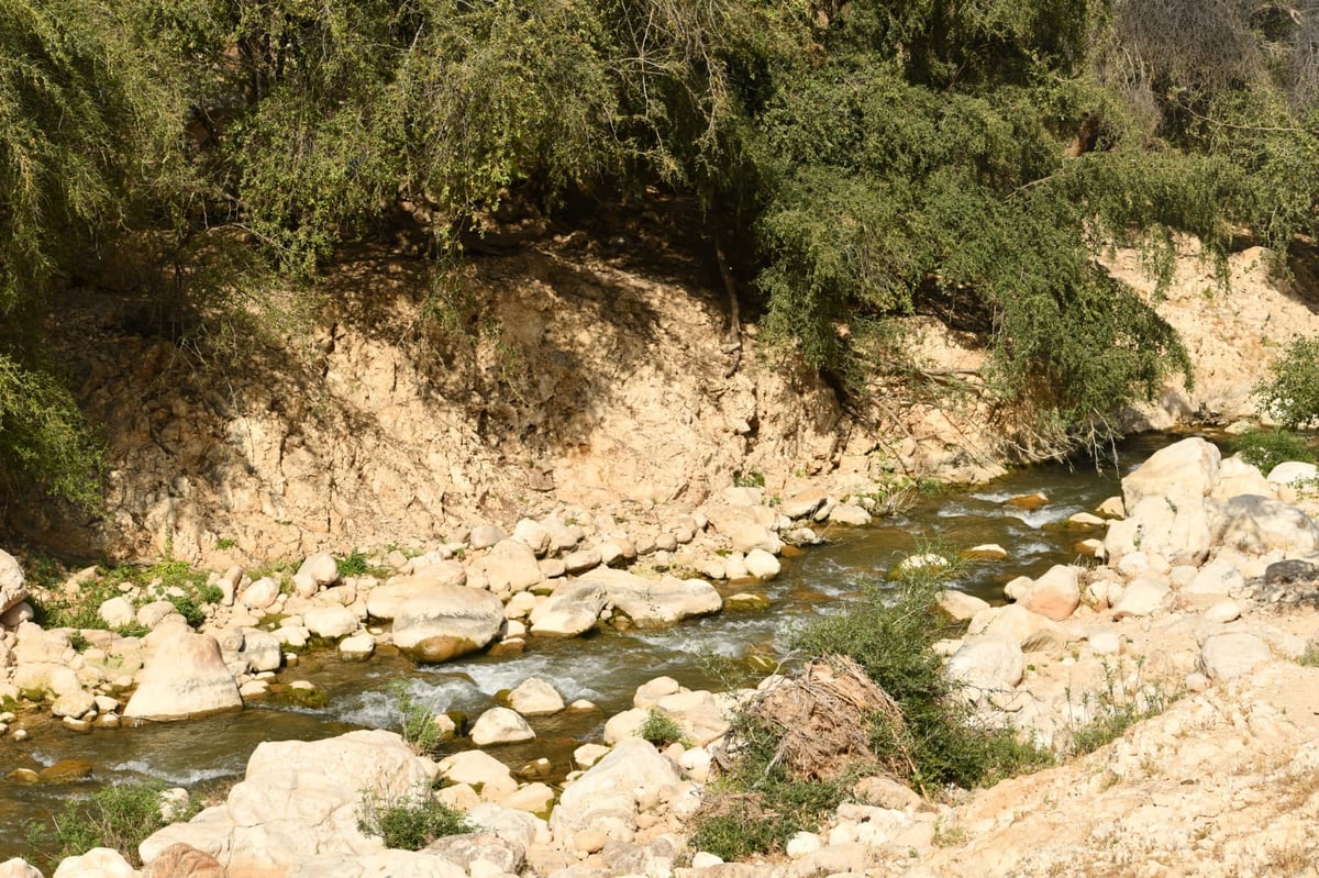 בבידוד ורוצים לטייל? צפו בתיעוד מ'עין קלט'