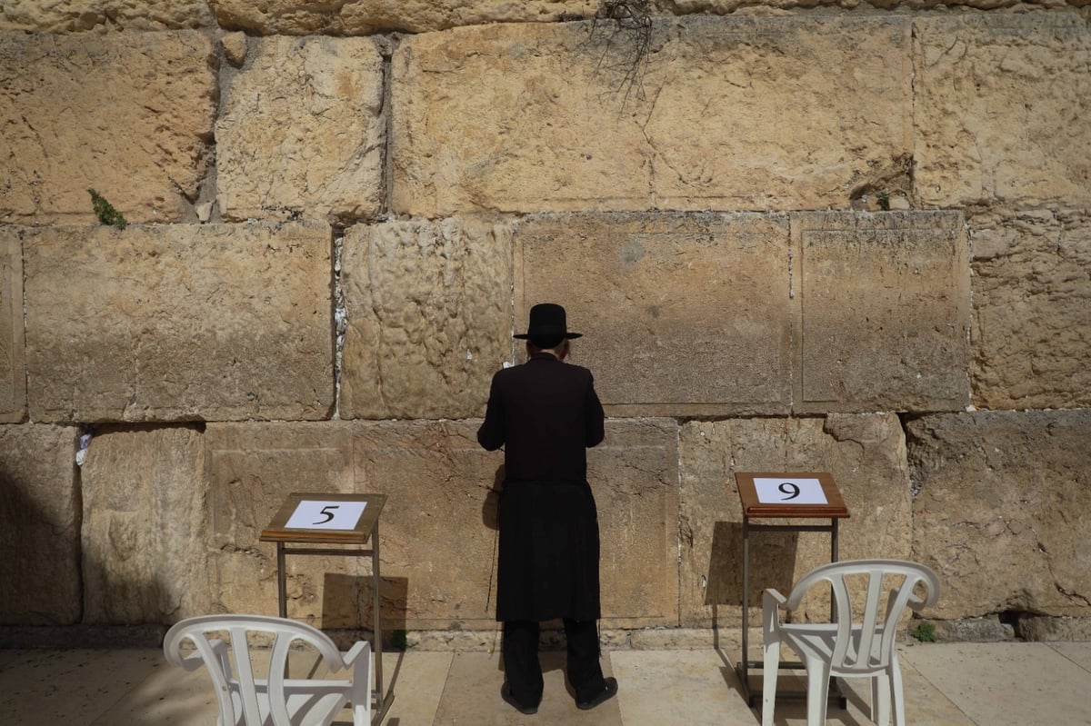 צפו: כך מתפללים בכותל - לפי התקנות החדשות