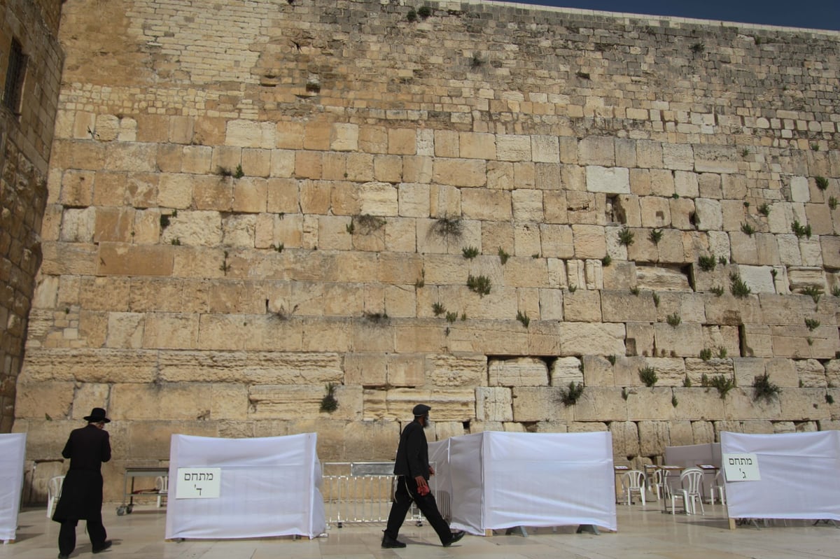 צפו: כך מתפללים בכותל - לפי התקנות החדשות