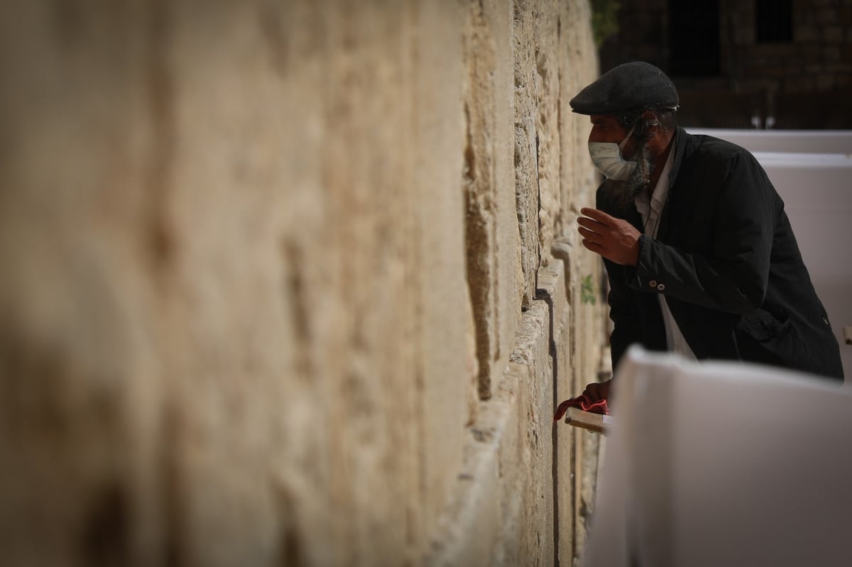 צפו: כך מתפללים בכותל - לפי התקנות החדשות