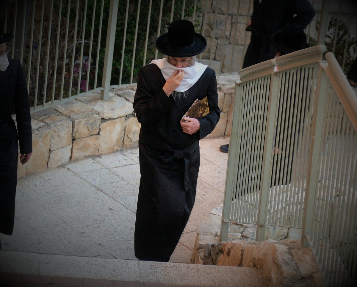 האדמו"ר מ'הורנסטייפל' בירך על האילנות בביתר עילית