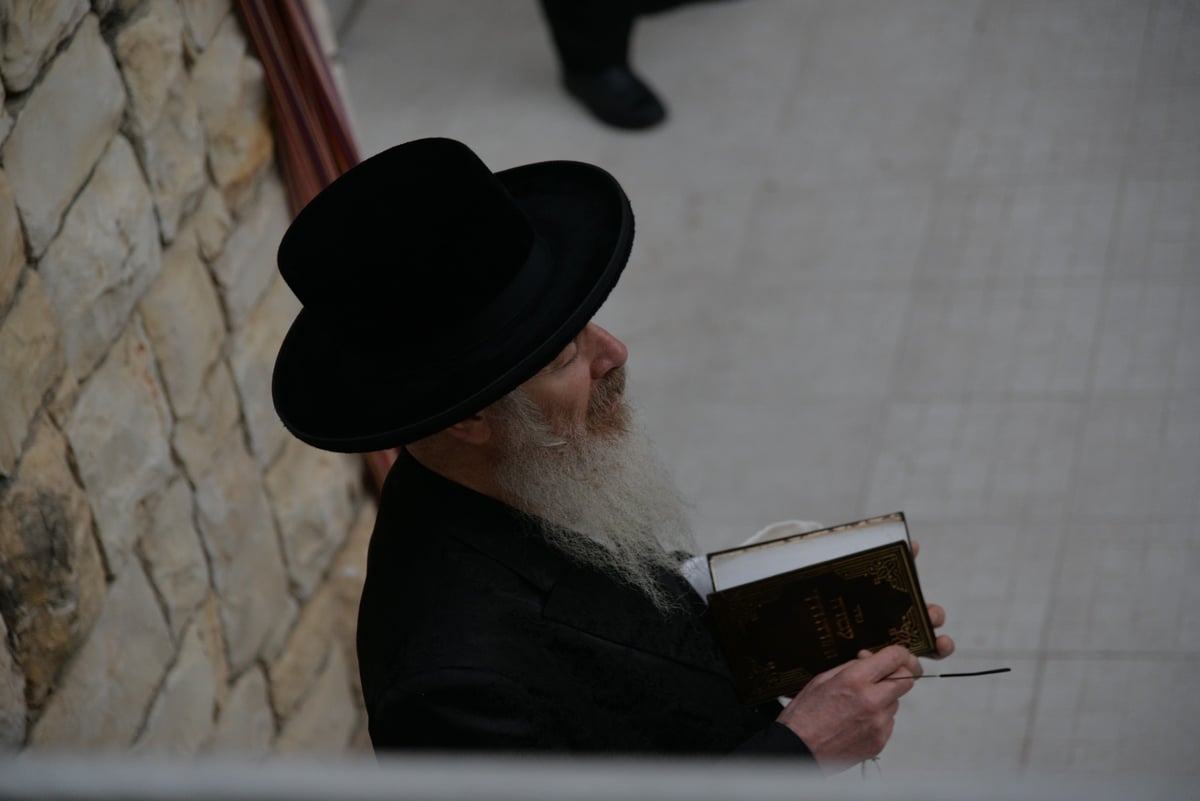 האדמו"ר מ'הורנסטייפל' בירך על האילנות בביתר עילית