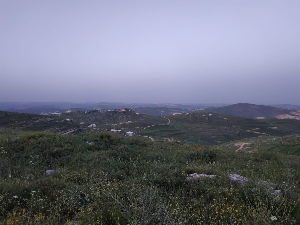 כוחות משטרה וצבא הורסים בתים ביצהר