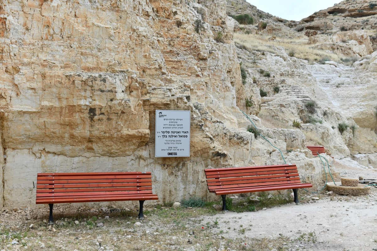 "איזו זרימה": צפו במפלי העוג'ה במבואות יריחו