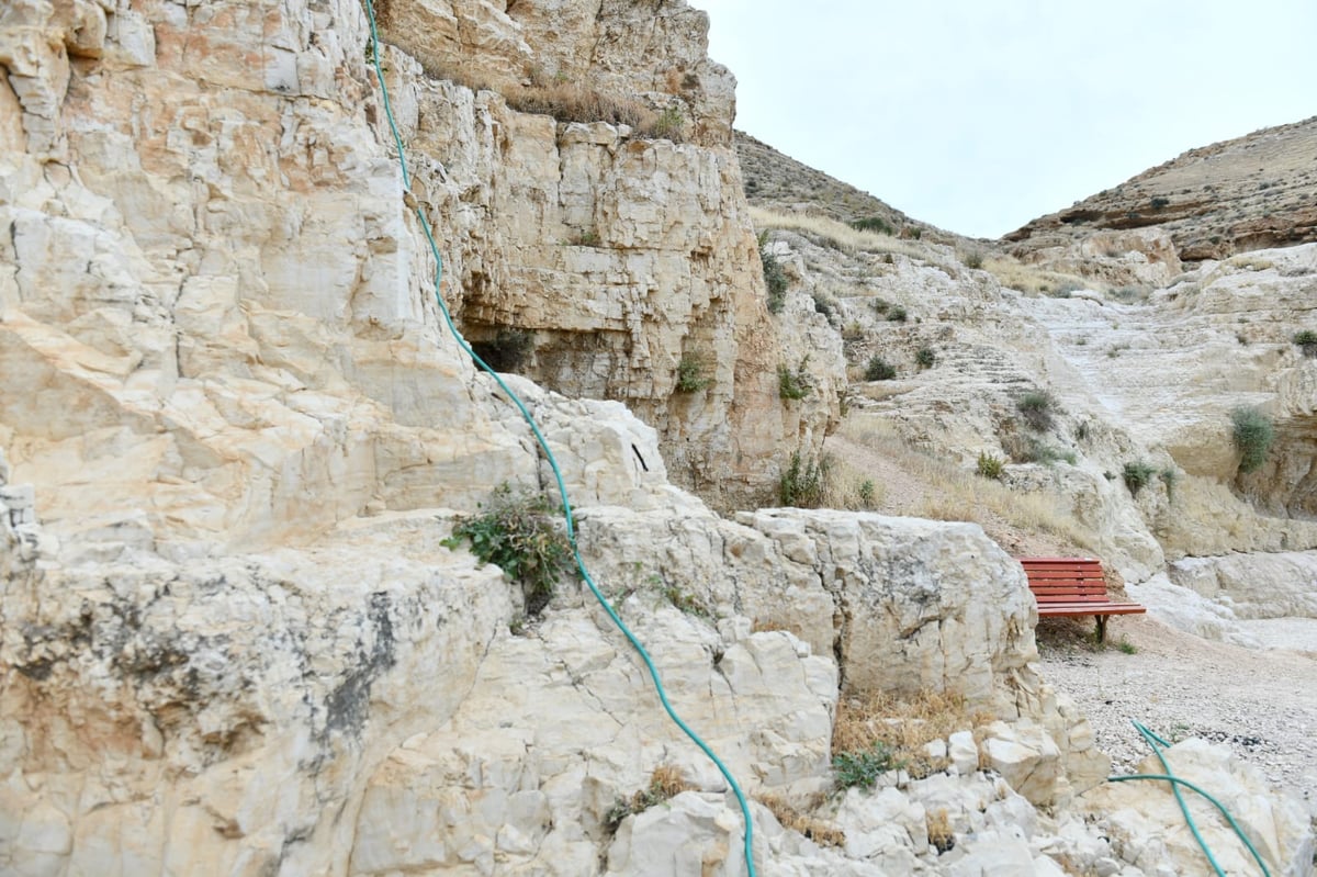 "איזו זרימה": צפו במפלי העוג'ה במבואות יריחו