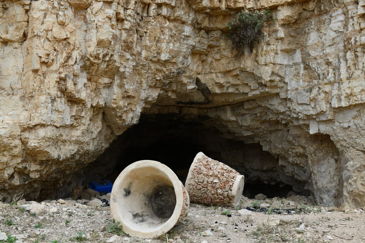 "איזו זרימה": צפו במפלי העוג'ה במבואות יריחו