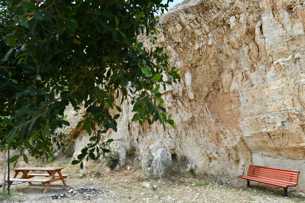 "איזו זרימה": צפו במפלי העוג'ה במבואות יריחו