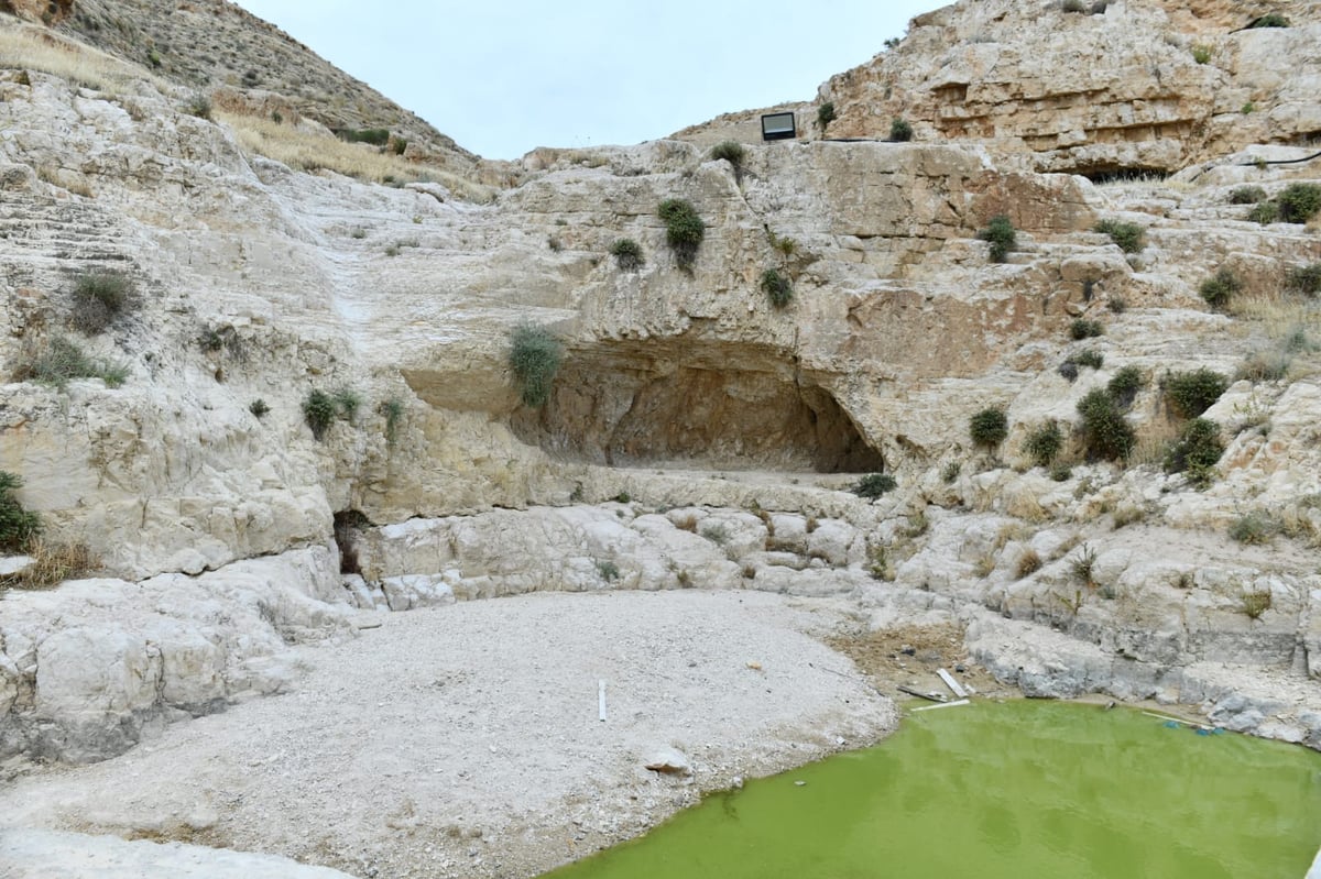 "איזו זרימה": צפו במפלי העוג'ה במבואות יריחו