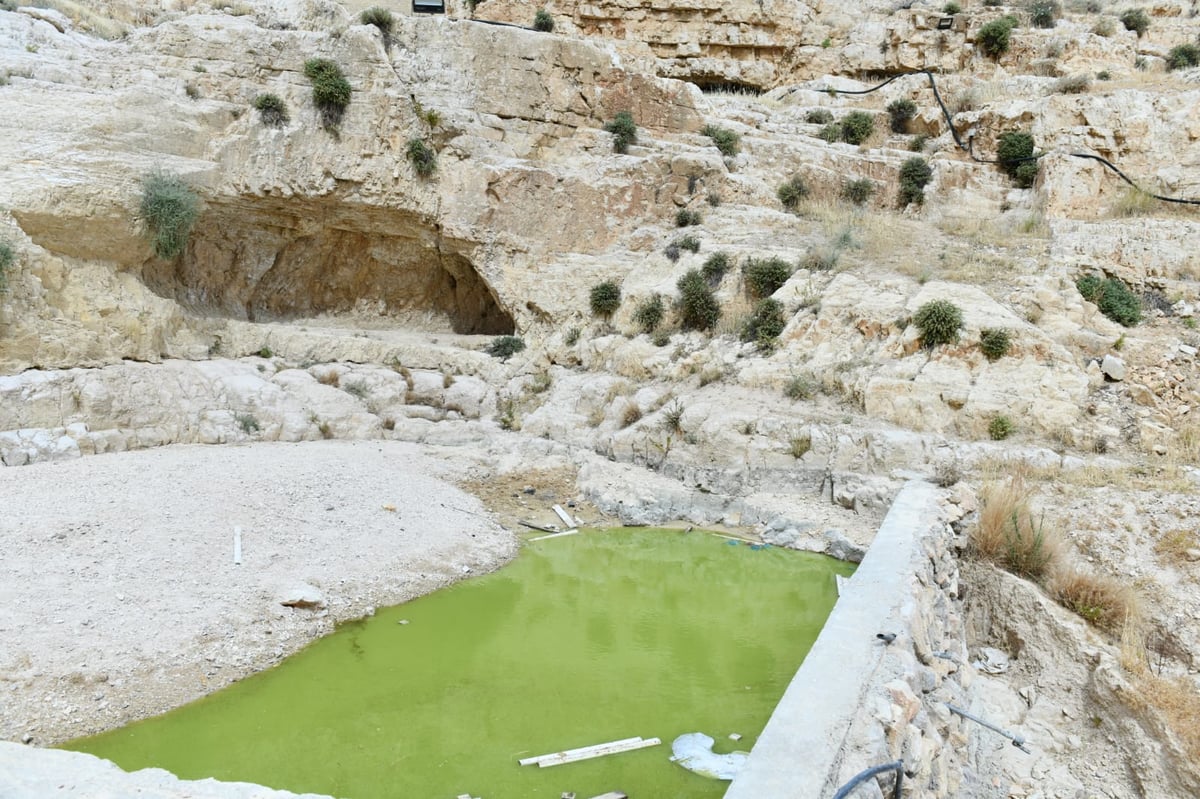 "איזו זרימה": צפו במפלי העוג'ה במבואות יריחו