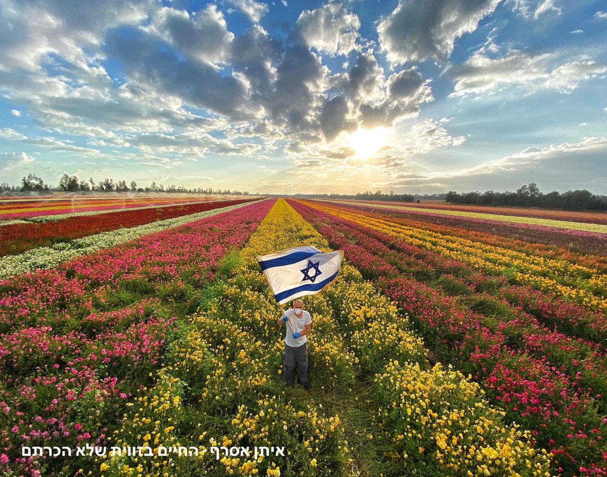 האמן והיוצר: איתן אסרף - החיים בזווית שלא הכרתם