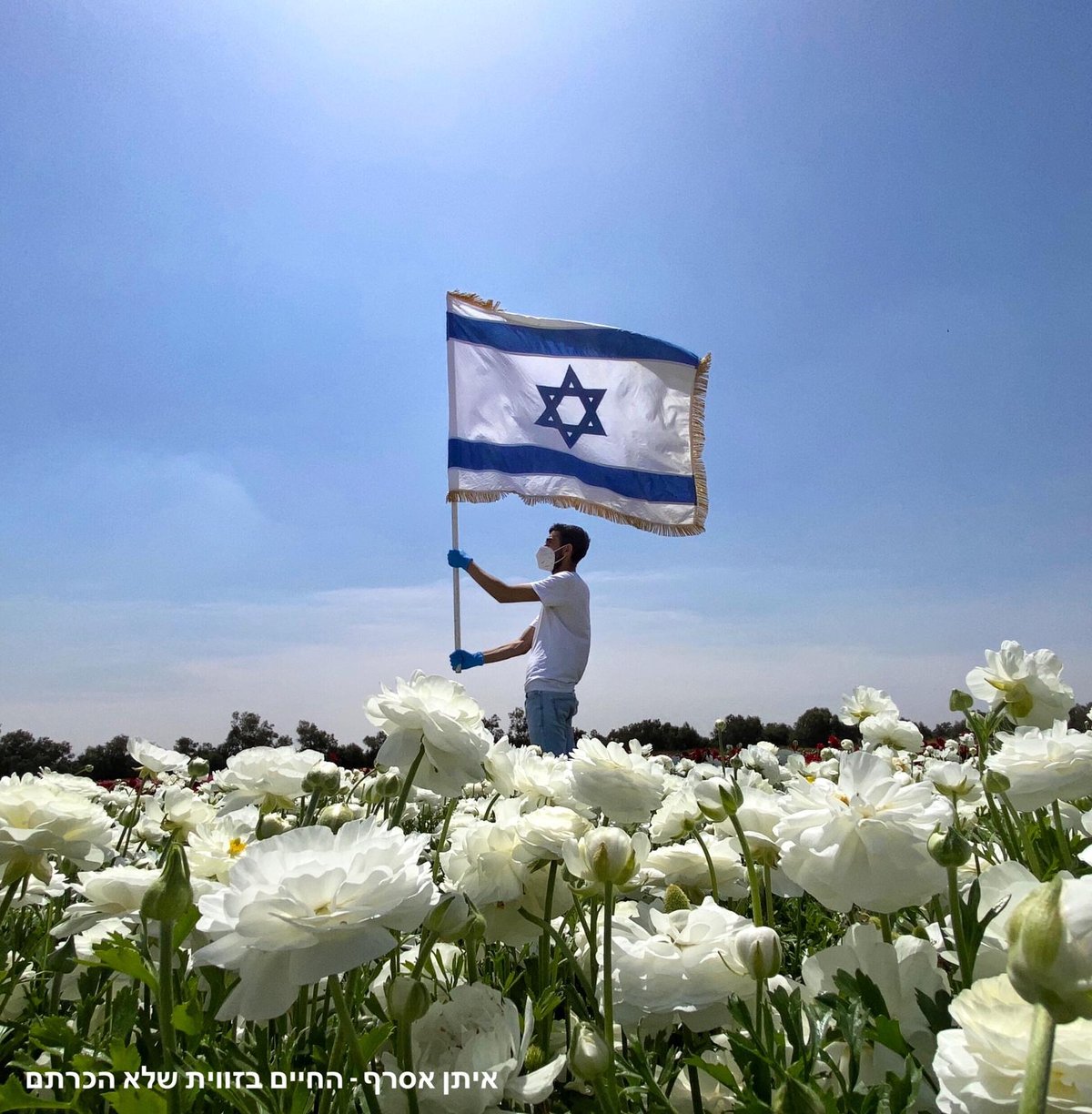 האמן והיוצר: איתן אסרף - החיים בזווית שלא הכרתם