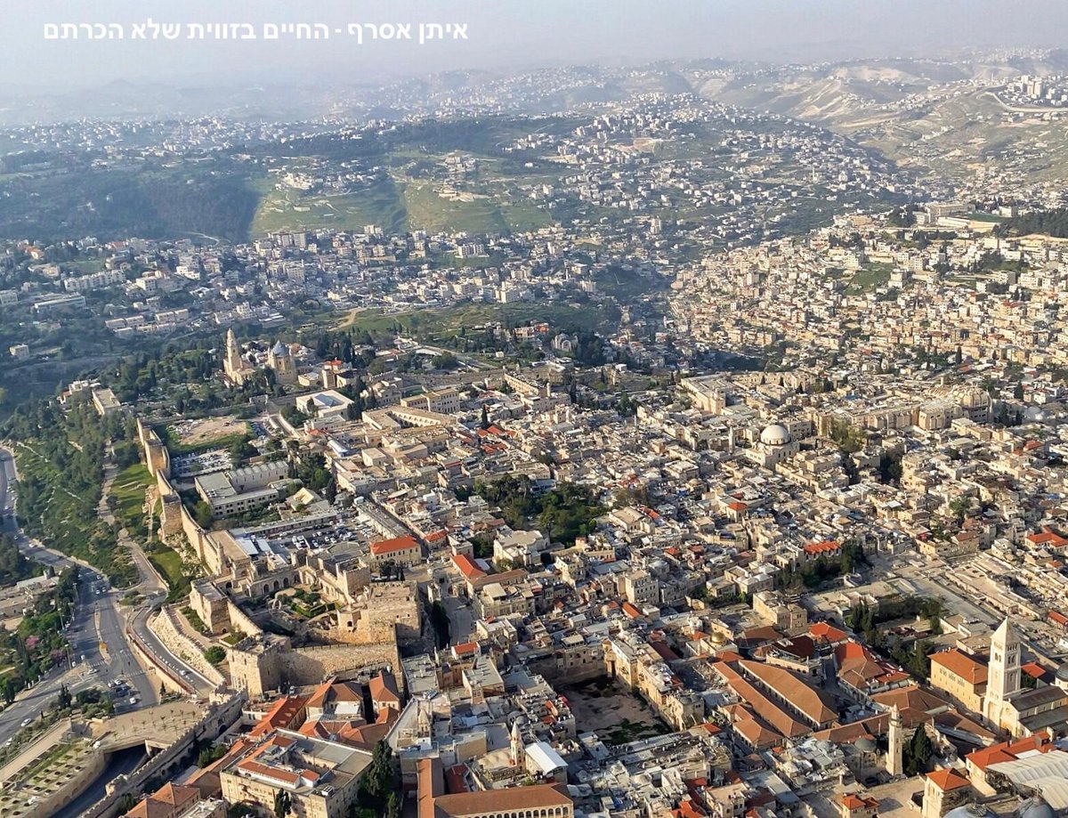 האמן והיוצר: איתן אסרף - החיים בזווית שלא הכרתם