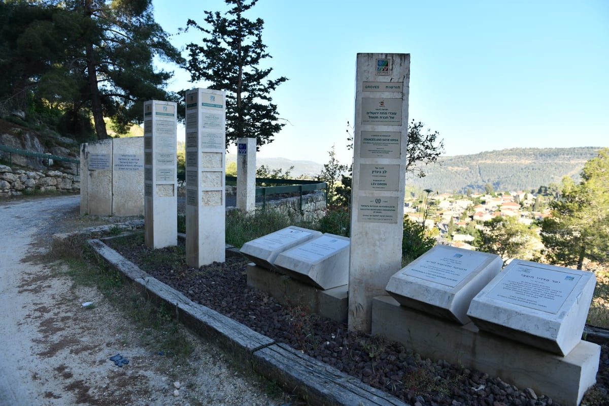 תיעוד מרהיב: פריחת האביב בהרי ירושלים