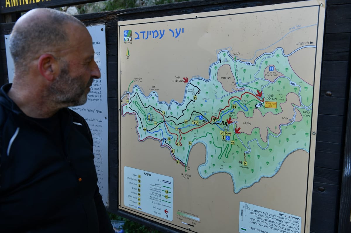 תיעוד מרהיב: פריחת האביב בהרי ירושלים