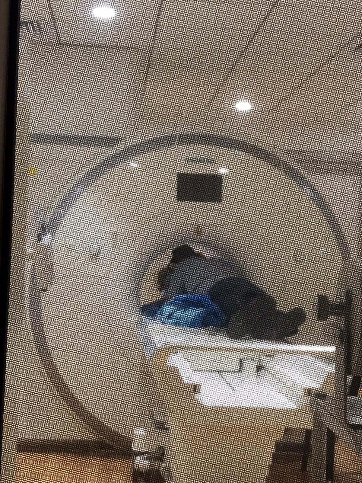 ילדה בת שנתיים וחצי נכנסה למכונת ה-MRI, עם אביה