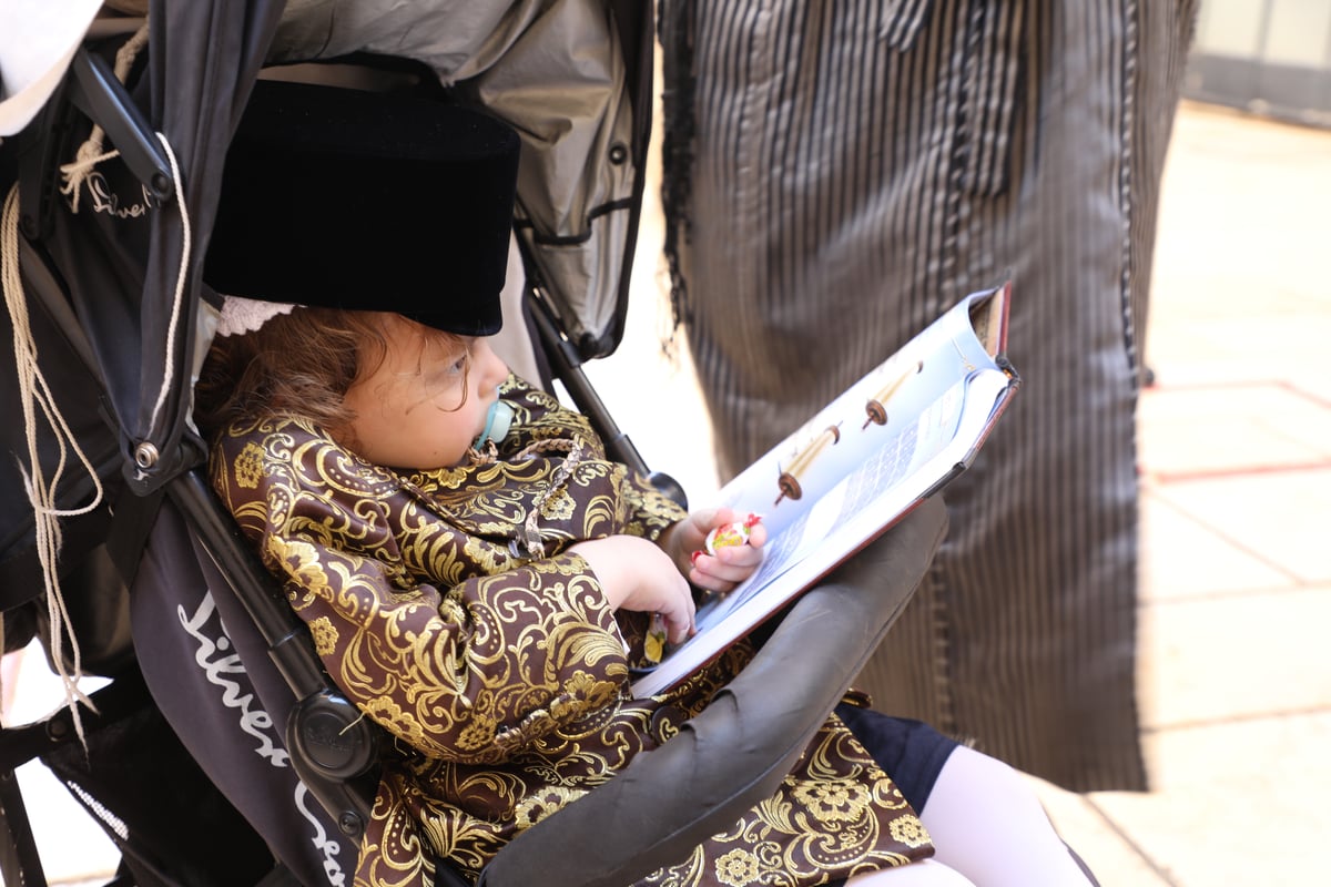 כך נראה ציון הרשב"י שעות לפני ההילולא